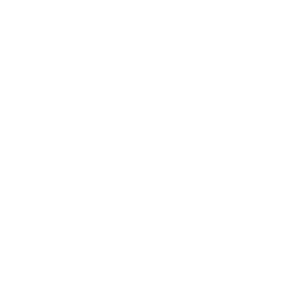 Free Shipping Photo Booth Rental Icon