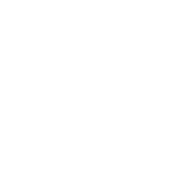 Online Photo Booth Rental Icon