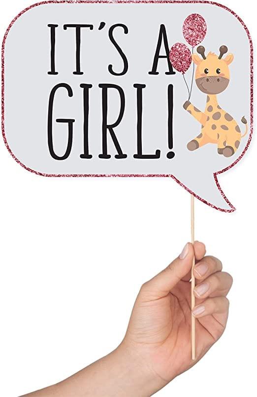Baby Shower Girl Photo Booth Props - Pixilated